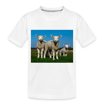 lambs in the pasture - Kids' Premium Organic T-Shirt - white - Front