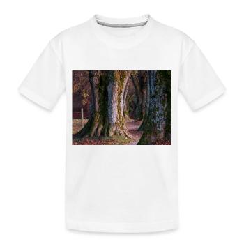 Steindl Allee - T-shirt bio Premium Enfant - blanc - Devant