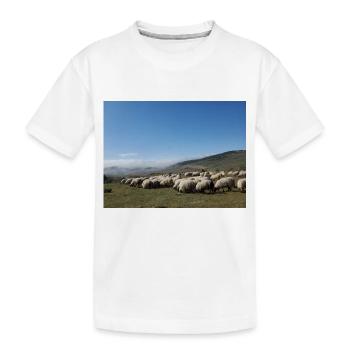 Moutons, troupeau de moutons, montagnes, prairies - T-shirt bio Premium Enfant - blanc - Devant