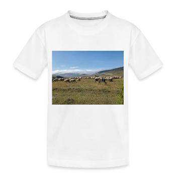 Moutons, ânes, montagnes, prairies - T-shirt bio Premium Enfant - blanc - Devant