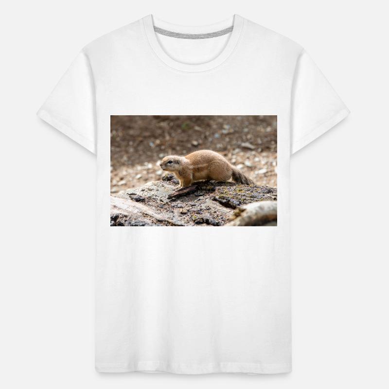 African ground squirrels Borstenhörnchen Xerus Kids' Premium Organic T-Shirt