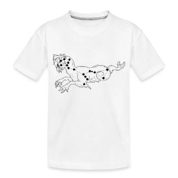Constellation - T-shirt bio Premium Enfant - blanc - Devant