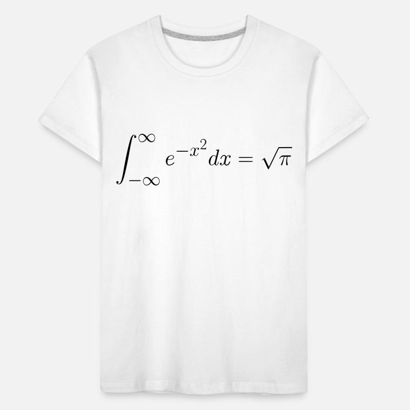 Gaußsches Integral Geschenk Idee Kinder Premium Bio T-Shirt