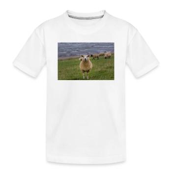 Moutons sur la digue sur la côte - T-shirt bio Premium Enfant - blanc - Devant