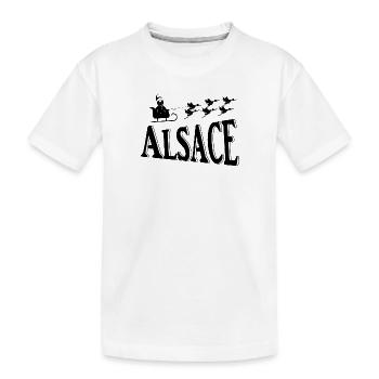 Alsace Christmas Storks - Kids' Premium Organic T-Shirt - white - Front