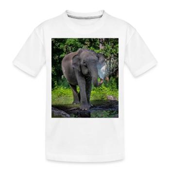 Beautiful Elephant - Kids' Premium Organic T-Shirt - white - Front