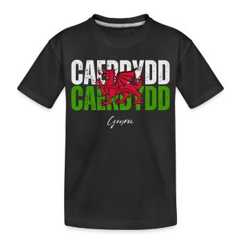 Cardiff, Wales, walisischer Stolz - Kinder Premium Bio T-Shirt - Schwarz - Vorne