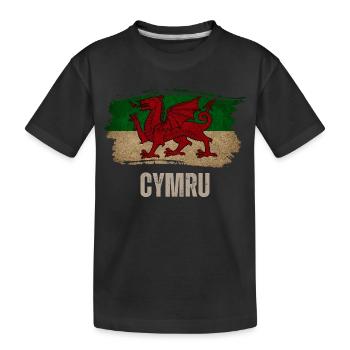 Grunge-walisische Flagge, Vintage Wales - Kinder Premium Bio T-Shirt - Schwarz - Vorne