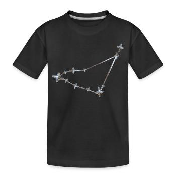 Sternenreihe Konstellation Design - Kinder Premium Bio T-Shirt - Schwarz - Vorne