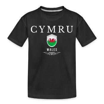 Walisischer Stolz, ich liebe Wales - Kinder Premium Bio T-Shirt - Schwarz - Vorne