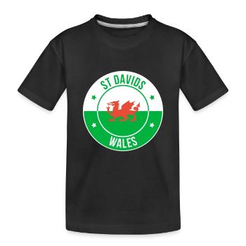 Emblème du Dragon gallois de St Davids - T-shirt bio Premium Enfant - noir - Devant