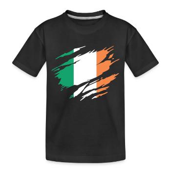 Irlande Drapeau Irlandais Irlandaise - T-shirt bio Premium Enfant - noir - Devant
