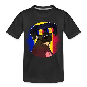 Andorra - Kids' Premium Organic T-Shirt - black - Front