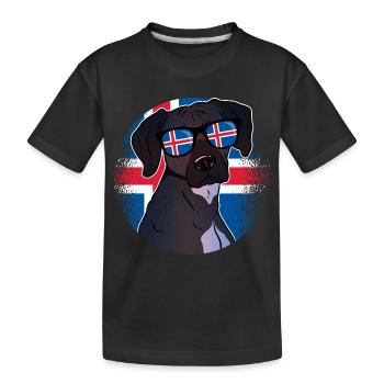 Islande - T-shirt bio Premium Enfant - noir - Devant