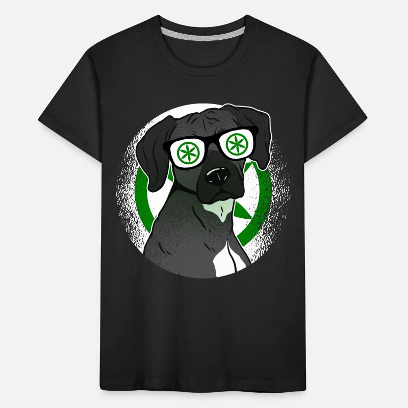 Padanie T-shirt bio Premium Enfant