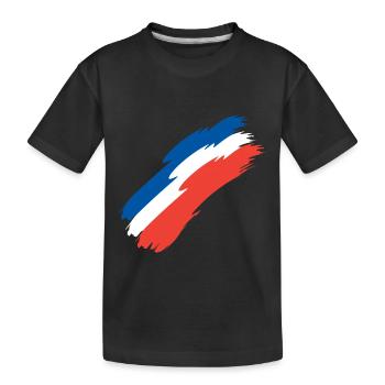 France flag colors flag - Kids' Premium Organic T-Shirt - black - Front