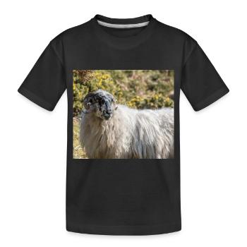 Mouton (en allemand Schaf) Ovis en Irlande - T-shirt bio Premium Enfant - noir - Devant