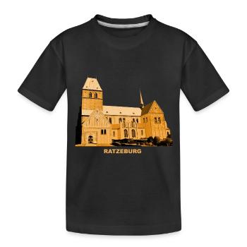 Ratzeburg Cathedral Schleswig-Holstein Lauenburg - Kids' Premium Organic T-Shirt - black - Front