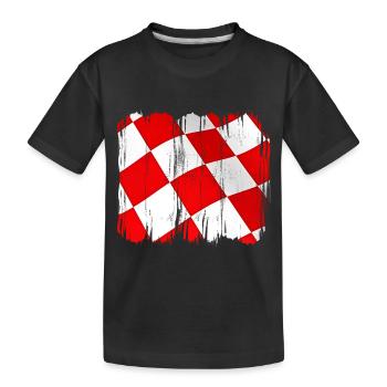 Kroatien hrvatska kroatien hrv hr zagreb geteilte Flagge - Kinder Premium Bio T-Shirt - Schwarz - Vorne