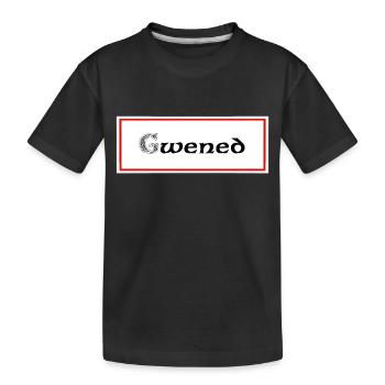 gwened Vannes - Kids' Premium Organic T-Shirt - black - Front