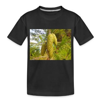 Pin d’Alep aussi Pin de Jérusalem Alep-Kiefer - T-shirt bio Premium Enfant - noir - Devant