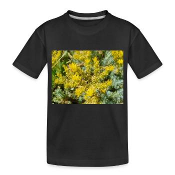 goldmoss stonecrop aussi mossy stonecrop Sedum acre - T-shirt bio Premium Enfant - noir - Devant