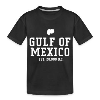 GULF OF MEXICO - Kinder Premium Bio T-Shirt - Schwarz - Vorne