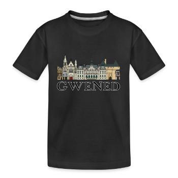 Gwened | Vannes - Kreizh kêr | Downtown - Kids' Premium Organic T-Shirt - black - Front