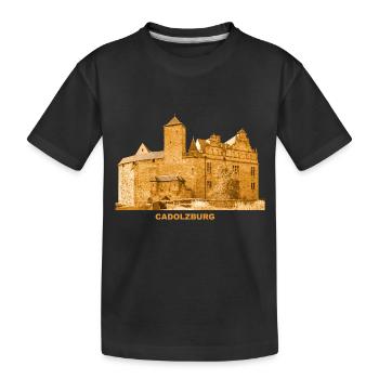 Cadolzburg Burg Fürth Franken Bavaria - T-shirt bio Premium Enfant - noir - Devant