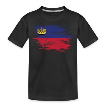 Liechtenstein Flagge used - Kinder Premium Bio T-Shirt - Schwarz - Vorne