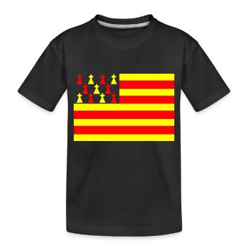 drapeau breton catalan - T-shirt bio Premium Enfant - noir - Devant