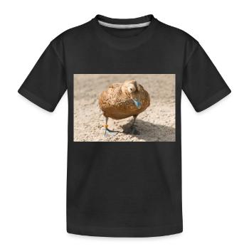 Eider Duck (Eiderente, Somateria mollissima) - Kinder Premium Bio T-Shirt - Schwarz - Vorne