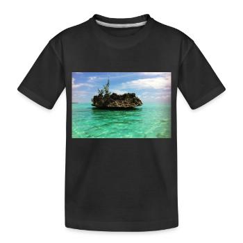 Mauritius Crystal Rock - Kids' Premium Organic T-Shirt - black - Front