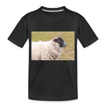 Mouton (en allemand Schaf) Ovis en Irlande - T-shirt bio Premium Enfant - noir - Devant