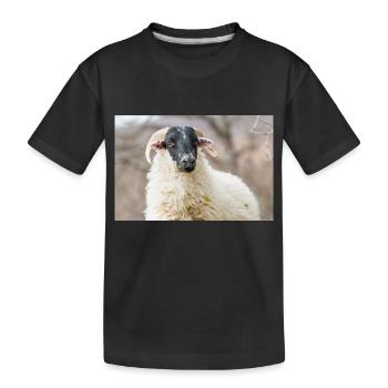 Mouton (en allemand Schaf) Ovis en Irlande - T-shirt bio Premium Enfant - noir - Devant
