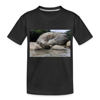 roche sur la rivière - T-shirt bio Premium Enfant - noir - Devant