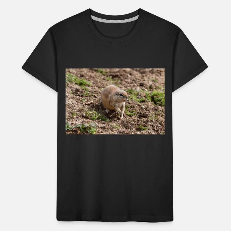 African ground squirrels Borstenhörnchen Xerus Kids' Premium Organic T-Shirt