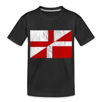 Vintage Denmark England Flag - Kids' Premium Organic T-Shirt - black - Front