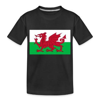 Pays de Galles - T-shirt bio Premium Enfant - noir - Devant