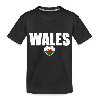Pays de Galles Drapeau gallois Gallois - T-shirt bio Premium Enfant - noir - Devant