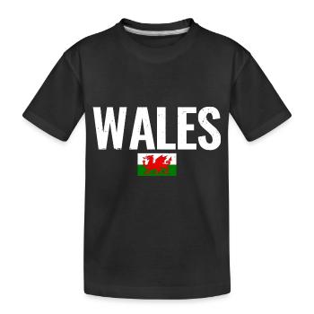 Pays de Galles Drapeau gallois Gallois - T-shirt bio Premium Enfant - noir - Devant