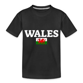 Pays de Galles Drapeau gallois Gallois - T-shirt bio Premium Enfant - noir - Devant