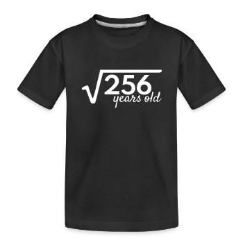 16 jahre alt Wurzel Mathe - Kinder Premium Bio T-Shirt - Schwarz - Vorne
