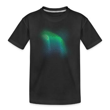 Polarlicht Aurora Borealis Nordlichter - Kinder Premium Bio T-Shirt - Schwarz - Vorne