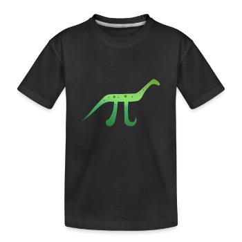 Mathe-Symbol Pinosaurus Pi Dinosaurier Geschenk - Kinder Premium Bio T-Shirt - Schwarz - Vorne