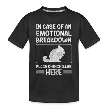 Chinchillas Animal Welfare - Kids' Premium Organic T-Shirt - black - Front