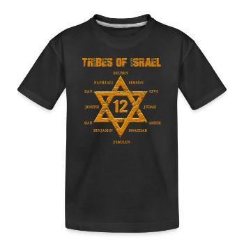 12 Twelve Tribes of Israel Hebrew Israelite Judah - Kids' Premium Organic T-Shirt - black - Front