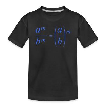 mathematik rechnen - Kinder Premium Bio T-Shirt - Schwarz - Vorne