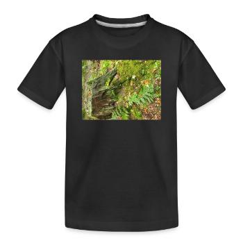 Waldstumpf mit Moos und Farnen - Kinder Premium Bio T-Shirt - Schwarz - Vorne