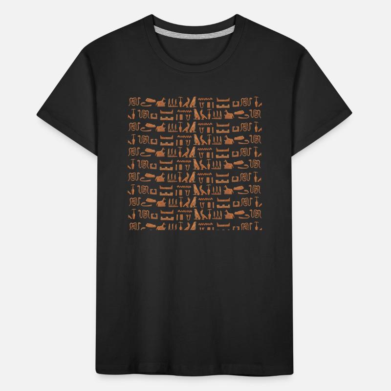 Ancient Egypt, hieroglyphic pattern, gift idea Kids' Premium Organic T-Shirt